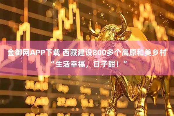 金御网APP下载 西藏建设800多个高原和美乡村 “生活幸福，日子甜！”